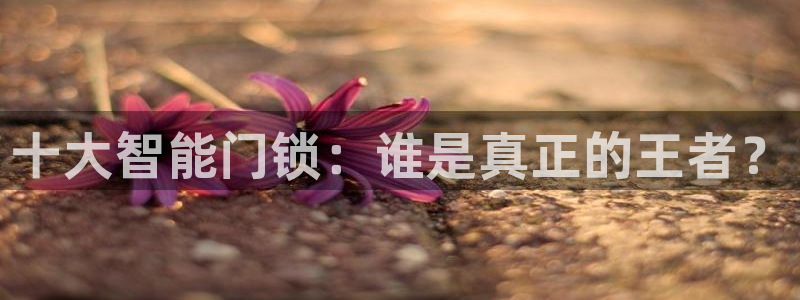 富联娱乐代理是谁的：十大智能门锁：谁是真正的王者？