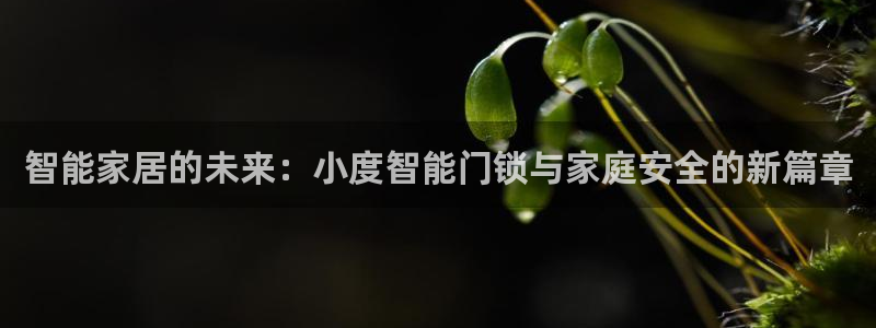 富联娱乐招商形判官333OO：智能家居的未来：小度智能门锁与