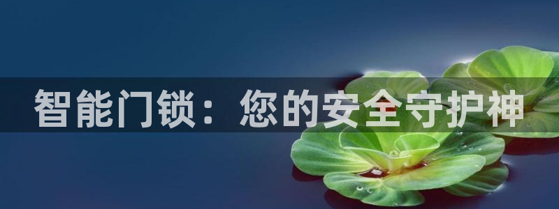 富联娱乐招商主管：智能门锁：您的安全守护神