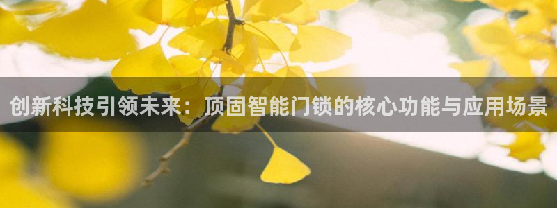 富联娱乐力67OO6：创新科技引领未来：顶固智能门锁的核心功