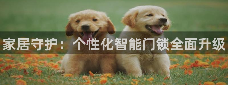 富联娱乐土67五壹叁八：家居守护：个性化智能门锁全面升级