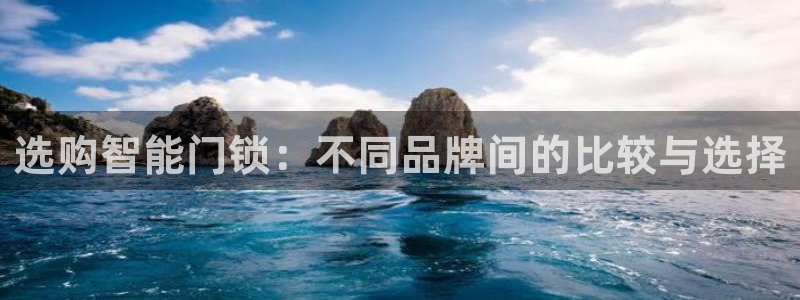 富联娱乐招商主管是谁啊：选购智能门锁：不同品牌间的比较与选择