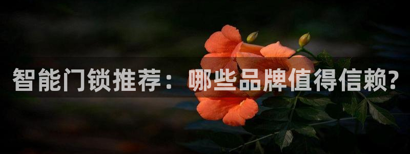 富联娱乐招商陆判官333OO：智能门锁推荐：哪些品牌值得信赖