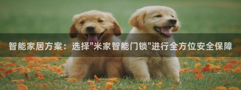 富联娱乐平台招商：智能家居方案：选择\