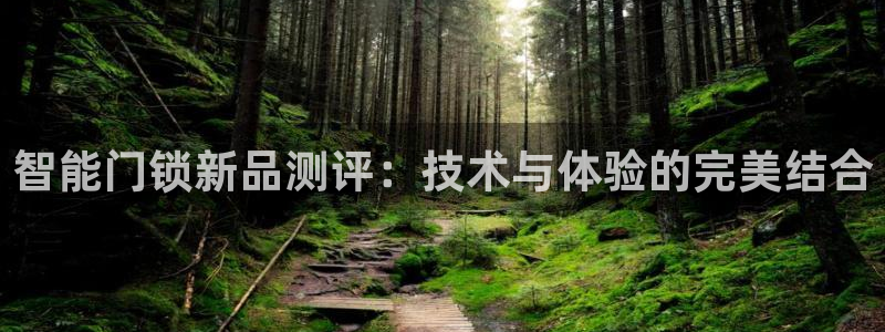 富联娱乐主营业务是什么：智能门锁新品测评：技术与体验的完美结