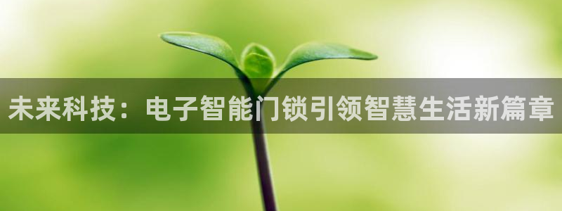 富联娱乐主管密判官333OO：未来科技：电子智能门锁引领智慧