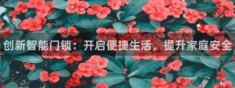 富联娱乐注册场判官333OO：创新智能门锁：开启便捷生活，提
