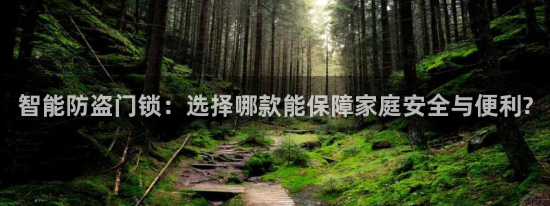 富联娱乐骗局：智能防盗门锁：选择哪款能保障家庭安全与便利?