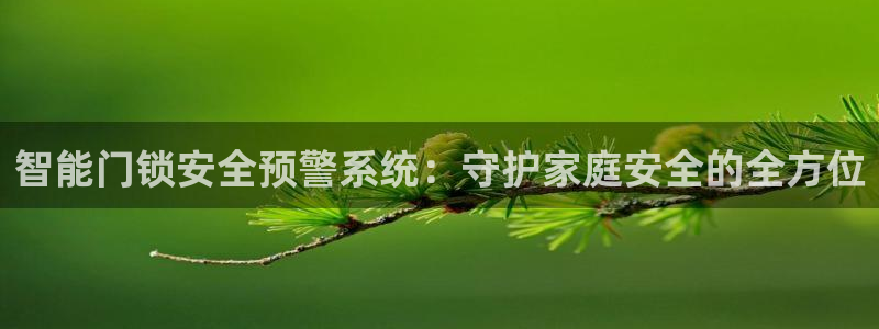 富联娱乐登录测速：智能门锁安全预警系统：守护家庭安全的全方位