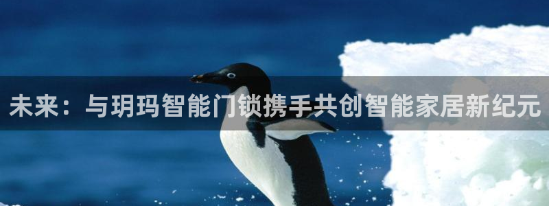 富联2娱乐平台注册不了：未来：与玥玛智能门锁携手共创智能家居