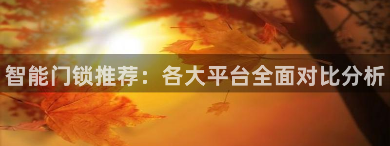 富联娱乐测速地址查询：智能门锁推荐：各大平台全面对比分析