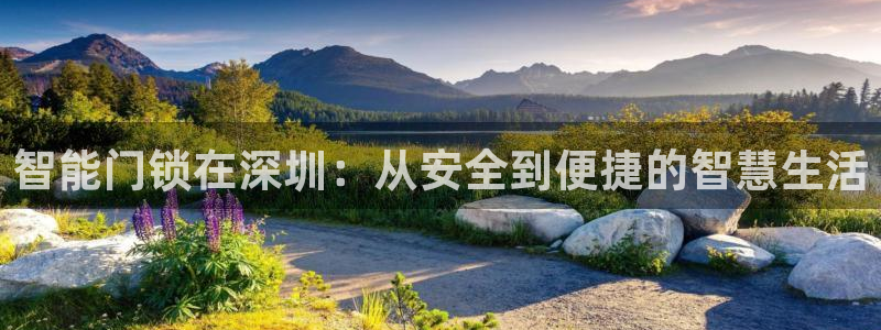 富联娱乐注册食判官333OO：智能门锁在深圳：从安全到便捷的