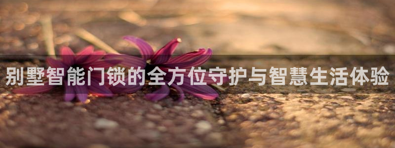 富联娱乐元歌：别墅智能门锁的全方位守护与智慧生活体验