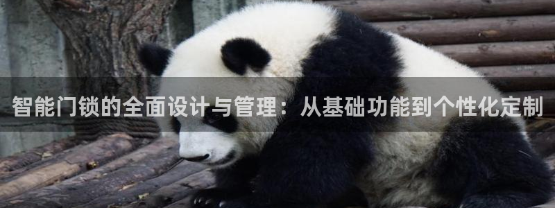 富联娱乐平台登录不上：智能门锁的全面设计与管理：从基础功能到