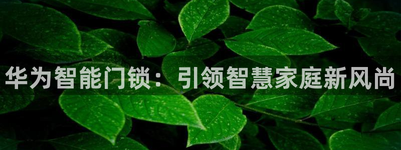 富联娱乐首页网址：华为智能门锁：引领智慧家庭新风尚