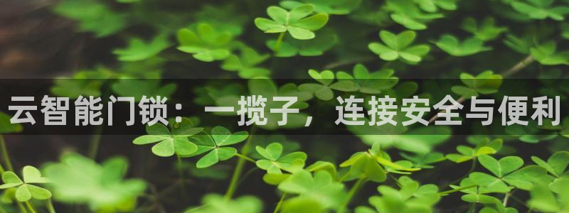 富联娱乐注册登录不了：云智能门锁：一揽子，连接安全与便利