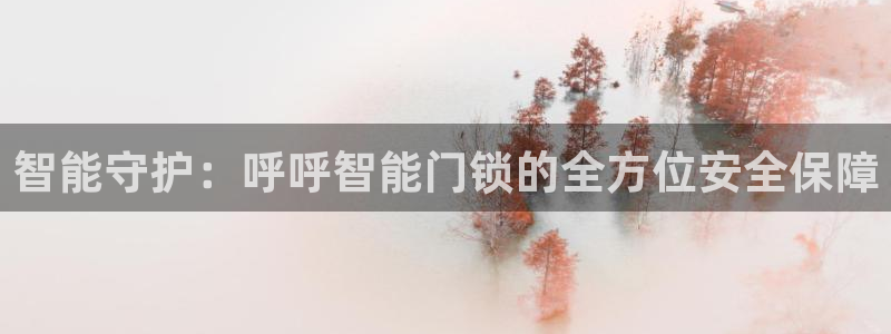 富联娱乐测速app：智能守护：呼呼智能门锁的全方位安全保障