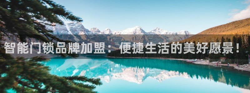 富联娱乐版权所有权归属：智能门锁品牌加盟：便捷生活的美好愿景