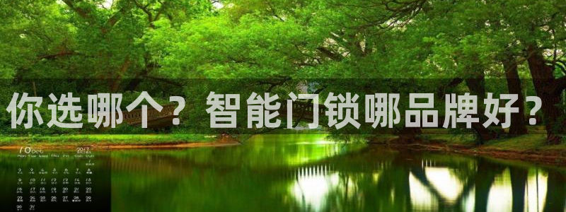 富联娱乐平台下载官网：你选哪个？智能门锁哪品牌好？