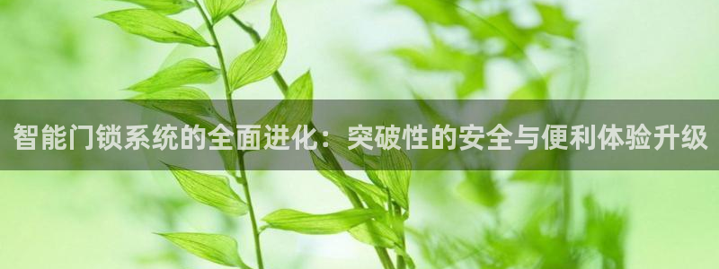 富联娱乐测速软件下载：智能门锁系统的全面进化：突破性的安全与