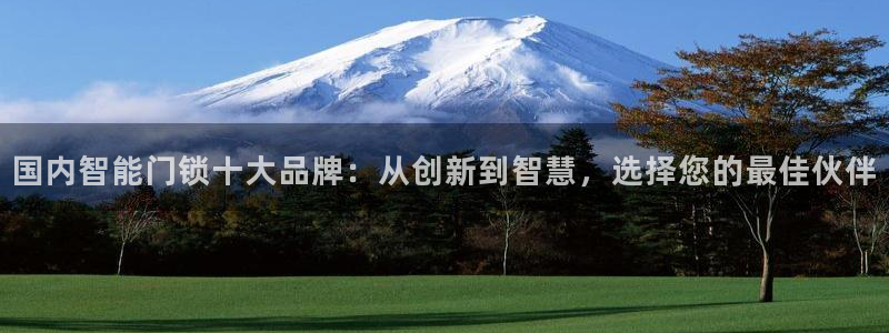 富联娱乐首页网站登录：国内智能门锁十大品牌：从创新到智慧，选