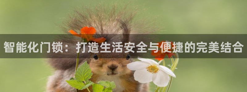 富联娱乐章7O777：智能化门锁：打造生活安全与便捷的完美结