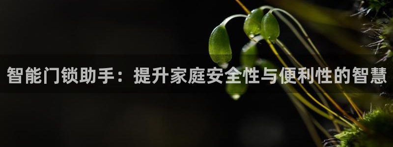 富联娱乐是资金盘吗：智能门锁助手：提升家庭安全性与便利性的智