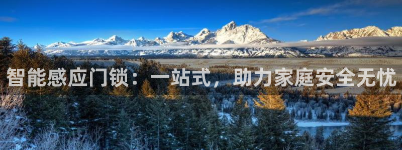 富联娱乐主管是谁啊图片：智能感应门锁：一站式，助力家庭安全无