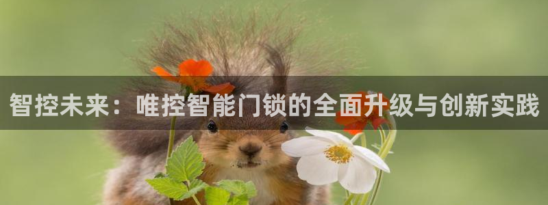 富联娱乐贴吧官网下载：智控未来：唯控智能门锁的全面升级与创新