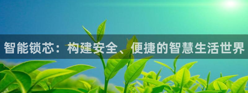 富联娱乐注册场判官333OO：智能锁芯：构建安全、便捷的智慧