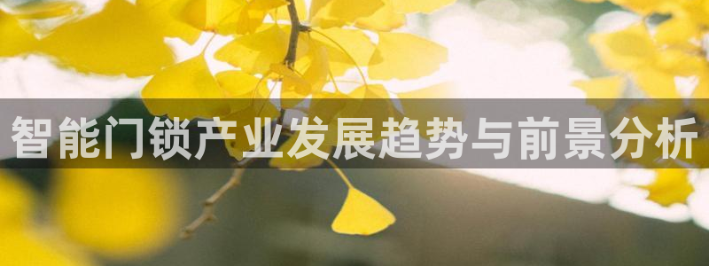 富联娱乐招商方判官333OO：智能门锁产业发展趋势与前景分析