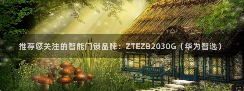 富联娱乐招商分听判官333OO：推荐您关注的智能门锁品牌：Z