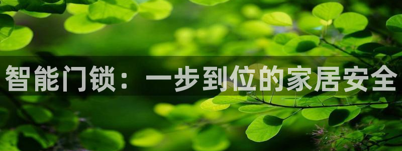 富联娱乐电究7276O：智能门锁：一步到位的家居安全