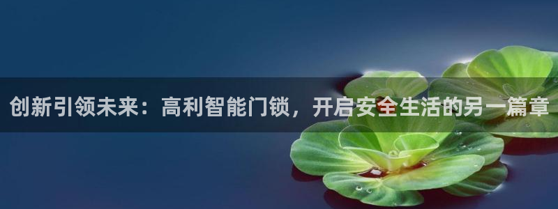 富联娱乐登录链接：创新引领未来：高利智能门锁，开启安全生活的