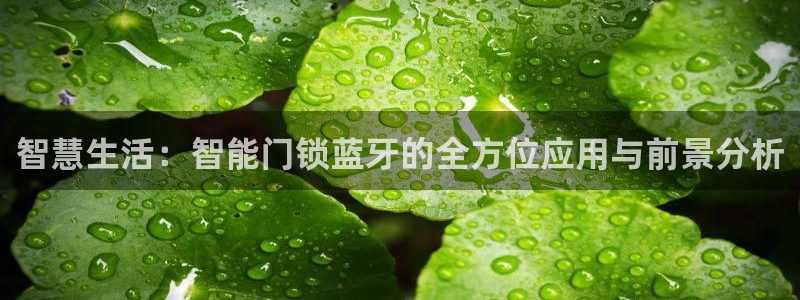 富联娱乐注册登录入口：智慧生活：智能门锁蓝牙的全方位应用与前