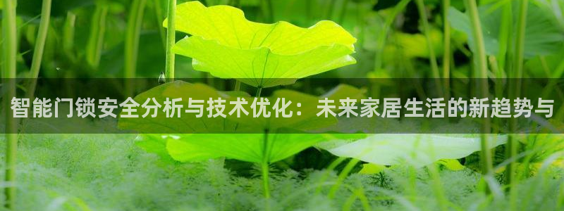 富联娱乐首页网址是多少：智能门锁安全分析与技术优化：未来家居