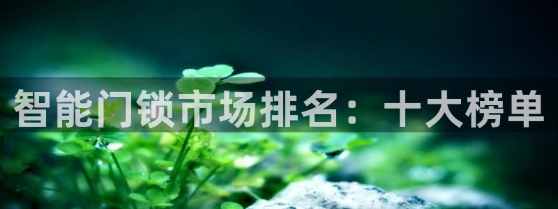 富联2娱乐首页网址大全：智能门锁市场排名：十大榜单