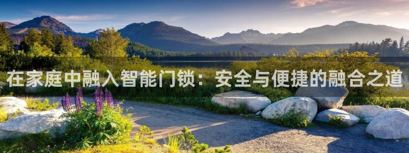 富联娱乐平台下载官网：在家庭中融入智能门锁：安全与便捷的融合