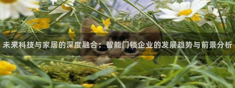 富联娱乐官网注册入口：未来科技与家居的深度融合：智能门锁企业