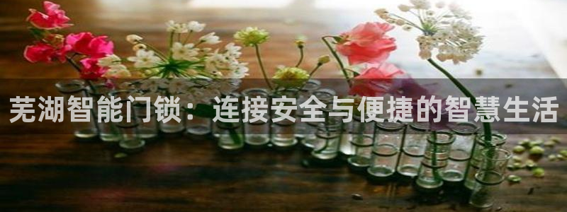 富联2娱乐资讯官网下载：芜湖智能门锁：连接安全与便捷的智慧生