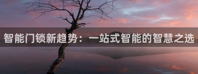 富联娱乐app官方下载苹果版：智能门锁新趋势：一站式智能的智