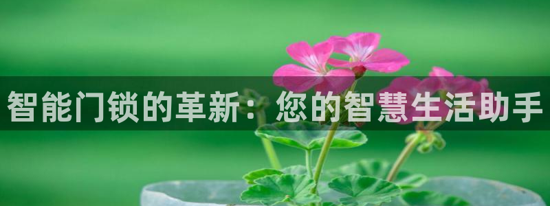 富联娱乐登录链接怎么弄：智能门锁的革新：您的智慧生活助手
