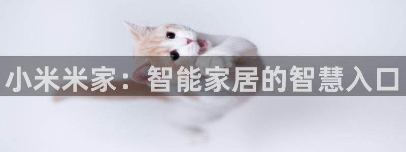 富联娱乐丁六七伍一三八：小米米家：智能家居的智慧入口