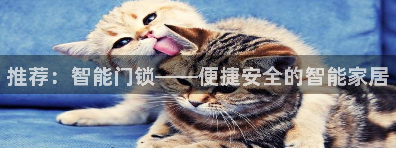 富联娱乐招商德判官333OO：推荐：智能门锁——便捷安全的智