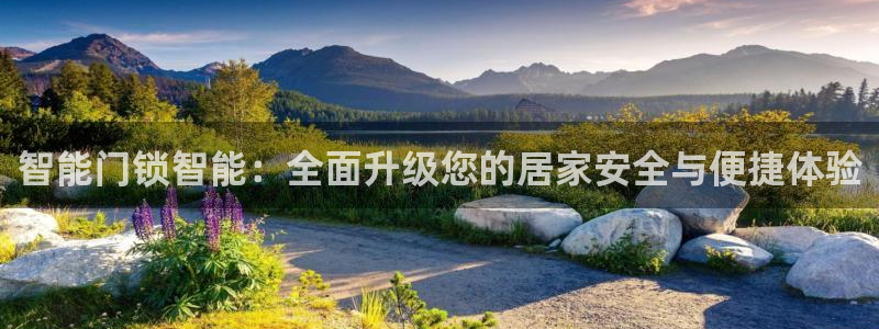 富联娱乐开户费用：智能门锁智能：全面升级您的居家安全与便捷体