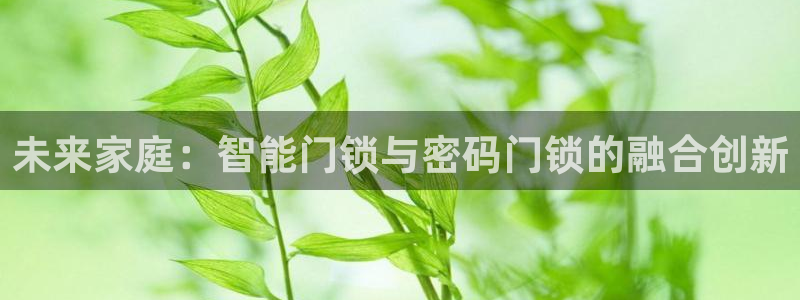 富联娱乐首页：未来家庭：智能门锁与密码门锁的融合创新