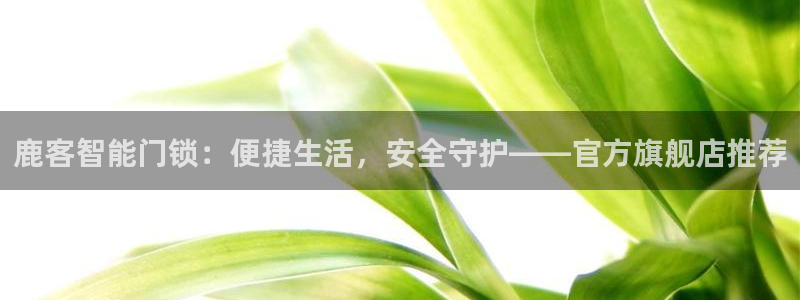 富联娱乐若七九九47：鹿客智能门锁：便捷生活，安全守护——官